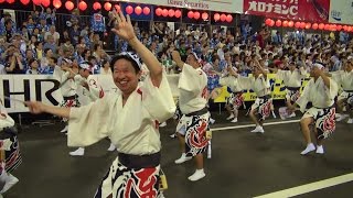 「天水連」市役所前演舞場 8月15日1部 徳島阿波おどり2014