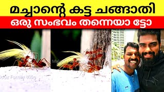 ഡോ റോബിൻ മച്ചാൻ്റെ ഈ ചങ്ങാതി ശാലു പേയാട് 💓 ഒരു സംഭവം തന്നെയാ ട്ടോ 💥🤩 #robin #shalupeyad #insta