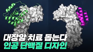 [핫클립] 대장암 치료를 도와주는 단백질을 디자인하다 / YTN 사이언스