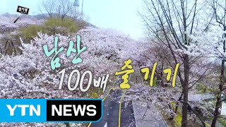 [셀카봉뉴스] 남산 100배 즐기기 / YTN