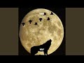 Wolf (Radio Edit)