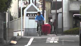 ソラ君的日常　自転車で疾走　2011.12.4