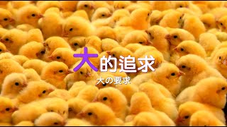 【京美知識家】「大」的追求｜特別企劃