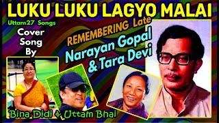 Luku Luku Lagyo Malai COVER SONG | Uttam27 Songs | Narayan Gopal and Tara Devi song | Uttam and Bina