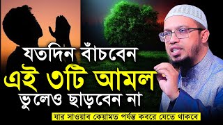 যতদিন বাঁচবেন এই ৩টি আমল ভুলেও ছাড়বেন না । শায়খ আহমাদুল্লাহ