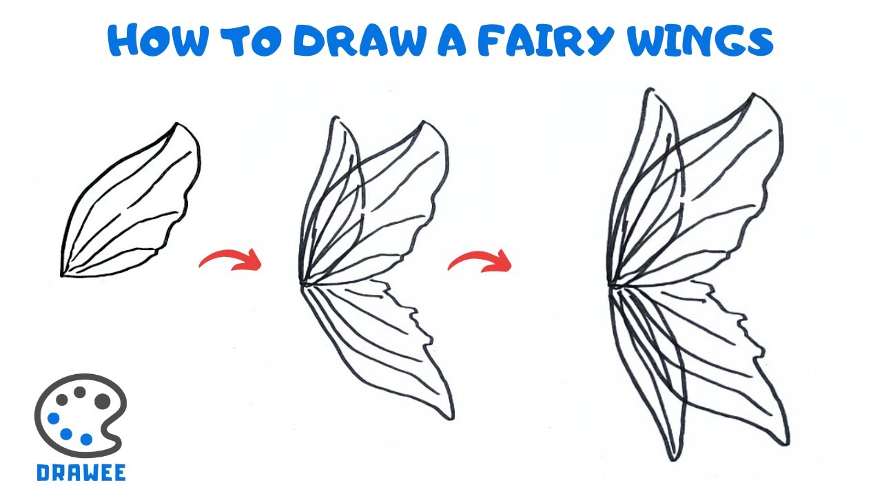 How To Draw Fairy Wings Step By Step - Infoupdate.org