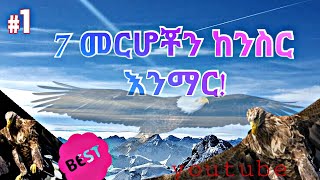 7 ሰባት መርሆዎችን ከንስር|አነቃቂ ቪዲዮ በአማርኛ|7 Principles from Eagle|Amharic Motivational Video|Ethiopia