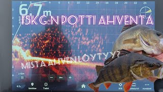 AHVENTA JYTKII PATEILTA - VALTAVIA KUOREPARVIA PENKKOJEN KUPEESSA!