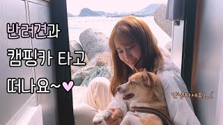 [온더밴] Ep.2 캠핑카 타고 오륙도 | 반려견 캠핑 | 캠핑카 브이로그 | 모듬 해산물 | 숯불 소고기