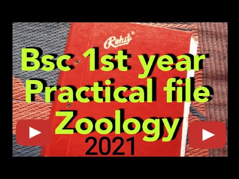 Bsc First Year Zoology Practical File!! Bsc 1st Year Zoology Practical ...