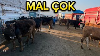 KIRIKKALE HAYVAN PAZARI GÜNCEL FİYATLAR