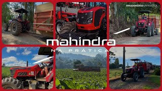 MAHINDRA NA PRÁTICA - Papanduva/SC  #MahindraTratores #MahindraBrasil #MahindraNaPratica