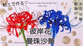 How to make Red spider lily with clay