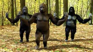 Ego The Crazy Things We Do Official Music Video Dancing Gorillas (Re upload)