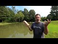 how to remove algae muck and sludge from a pond clearing pond water