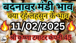 बदनवार मंडी लहसून भाव । Skt 45 | 11/02/2025 | Indore Mandi bhav | today lahsun bhav | garlic bhav