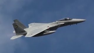 2018入間基地航空祭　外来機帰投シーンF-15J他/JASDF Iruma Air Show2018 return to base of aircraft