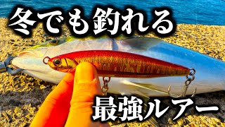 【ショアジギング】冬に青物釣りたい人に絶対使ってほしいルアー【JACKALL ビッグバッカーフォールトリック】