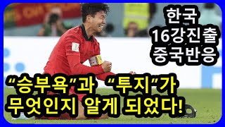 카타르 월드컵 한국 16강 진출 중국반응-\