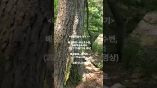 내움막숲속이야기-베경뮤직~J.Straus 2世의 \