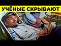 Учёные в ступоре. 7 реальных случаев путешествий во времени