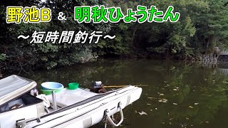 【野池B】2020.11.20＆【明秋ひょうたん】2020.12.13　短時間釣行2本。埼玉県。へらぶな釣り。