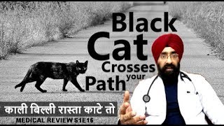 Medical Review S1E16 : काली बिल्ली रास्ता काटे तो | If Black Cat Crosses your Path | by Dr.Education