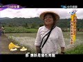 08 06　look台灣　八八風災兩週年特輯part4