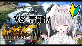 【FF14/ManaDC】🔰完全初見🔰四聖獣奇譚！青龍編【真白やみ】