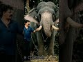 കൊമ്പൻ ബസുടമ യഥാർത്ഥ കൊമ്പനെ വാങ്ങിയപ്പോൾ kombanholidays kerala trending elephants pooram