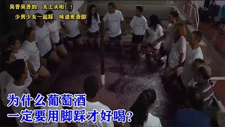 传统葡萄酒酿制方法，脚踩出来的味道更香醇？网友：臭香臭香的