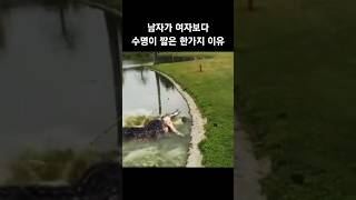 남자가 여자보다 수명이 짧은 단 하나의 이유          #shorts #충격 #유머 #이슈