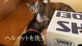 ヘルメットを洗う【SHOEI　HORNET ADV】