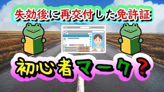 失効後に再交付した免許証・初心者マーク!?・日本への帰国者は要注意