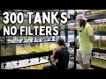 300+ Aquariums with NO FILTERS | In Depth Tour