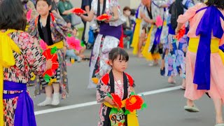 Why do Japanese want Lions eating their Head? | 厚岸夏祭り