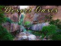 Stunning Waterfall hike in the middle of the Desert! Hiking Water Canyon, Utah