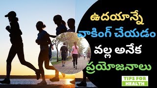 ఉదయాన్నే వాకింగ్ చేయడం వల్ల అనేక ప్రయోజనాలు | Benefits of Morning Walking  in Telugu