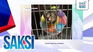 Saksi: (Recap) P250K para sa furbaby (Originally aired on Jan. 23, 2025)