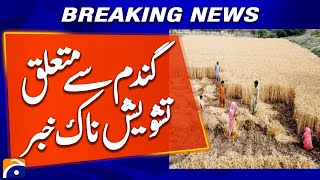 Worrying news regarding wheat | Mandi Bahauddin: Geo News Exclusive Coverage