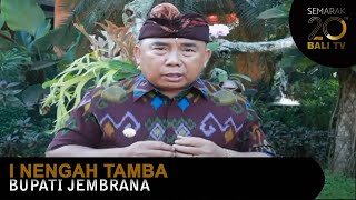 I NENGAH TAMBA - BUPATI JEMBRANA | GREETING HUT BALI TV KE-20