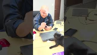 【猫がいる職場】仕事中に遊んでいるあべちゃんと黒猫ジジ