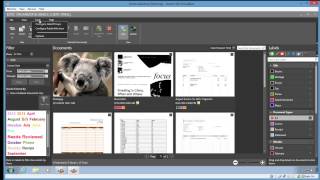 eDoc Organizer Business Edition Demo1