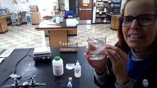 Semi-Permeable Membrane Lab