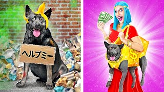 捨て犬がお金持ちに拾われた！*ペット用ガジェット＆ライフハック*