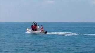 Falerna Marina (Cz). Processione in mare della statua di S. Francesco di Paola.