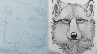 How to Draw a Wolf (timelaps) || Disney Art #51
