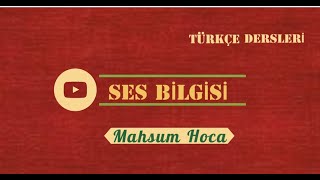 25 SORUDA SES BİLGİSİ - 3 (ŞİFRELER)