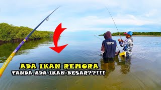 Umpan Udang Selalu Menjadi Andalan || Teknik Casting \u0026 Umpan Dasaran