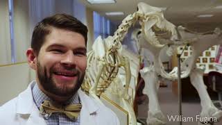 The Student Experience with William Fugina, DVM ‘19